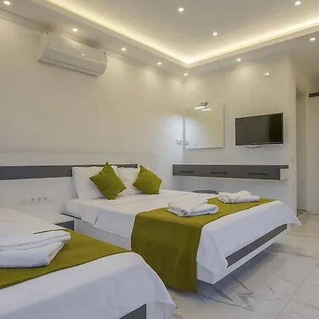 Villa Ortac 4 Doga Icerisinde, Korunakli