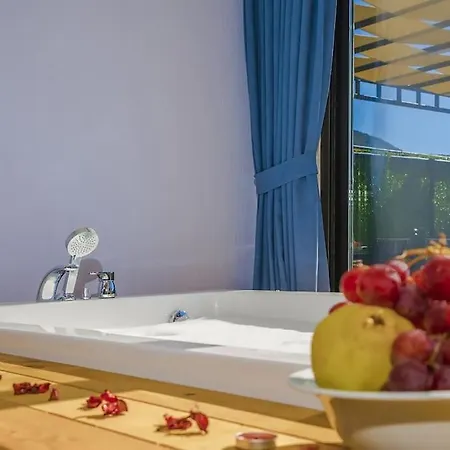 Ortac 4 Doga Icerisinde, Korunakli Villa