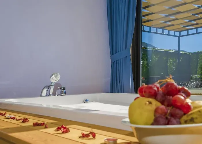 Ortac 4 Doga Icerisinde, Korunakli Βίλα