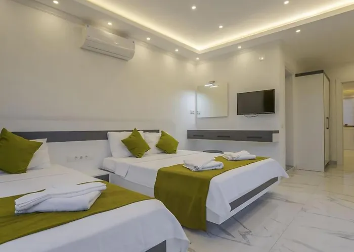 Villa Ortac 4 Doga Icerisinde, Korunakli